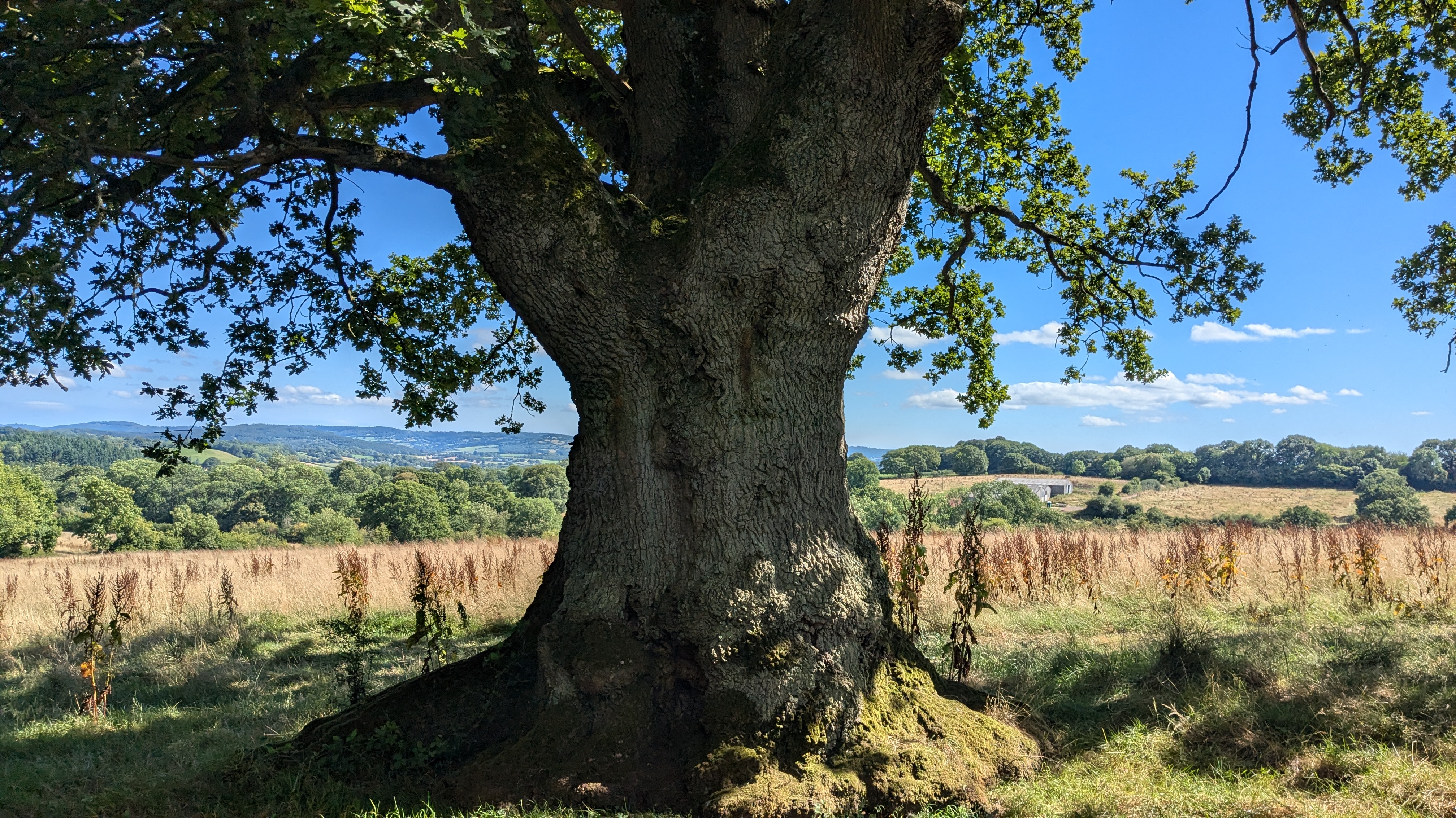 The Science Behind Nature‑Centred Retreats: How the Outdoors Restores Focus and Boosts Team Performance