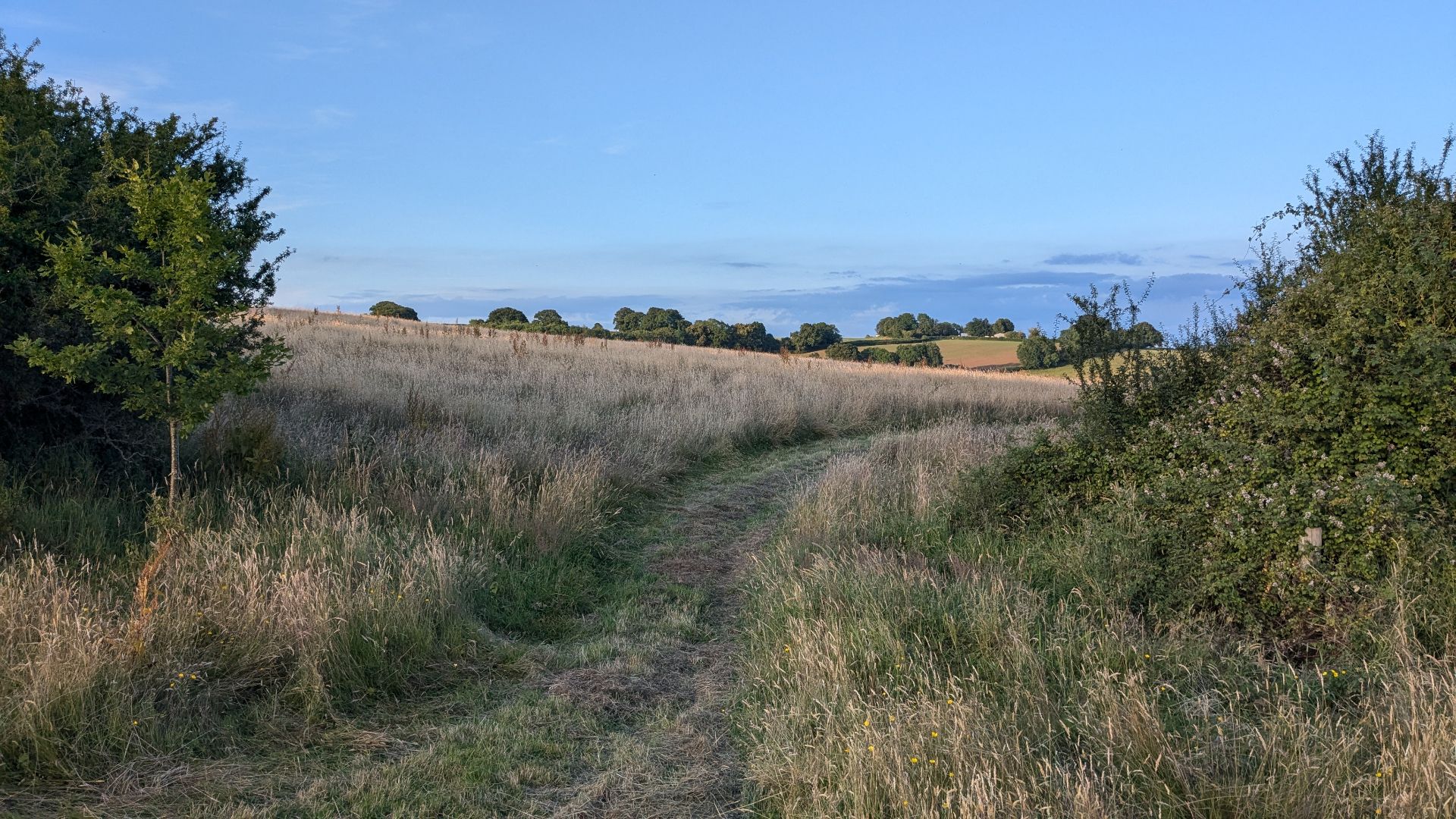 The rewilded landscape at the Grange Project