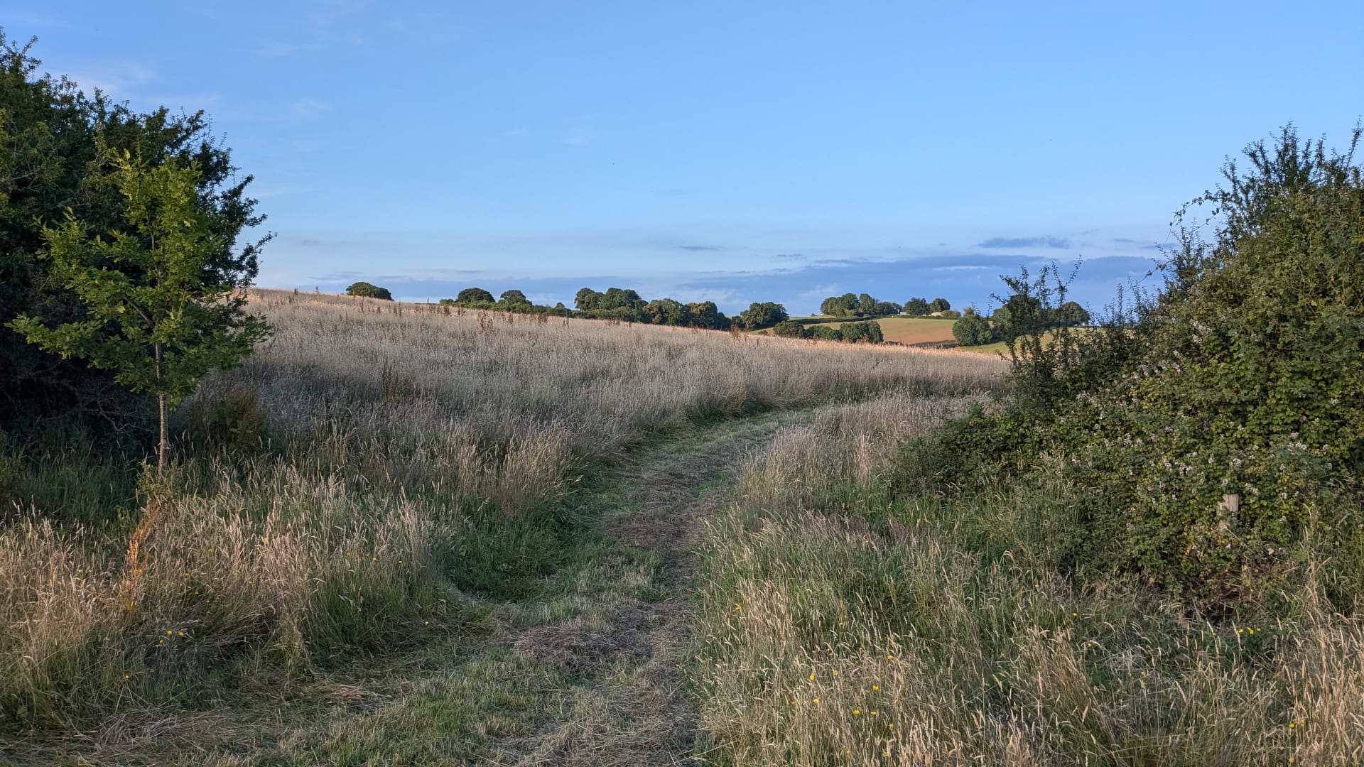 The rewilded landscape at the Grange Project